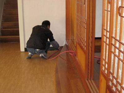 家里有該白蟻怎么辦？